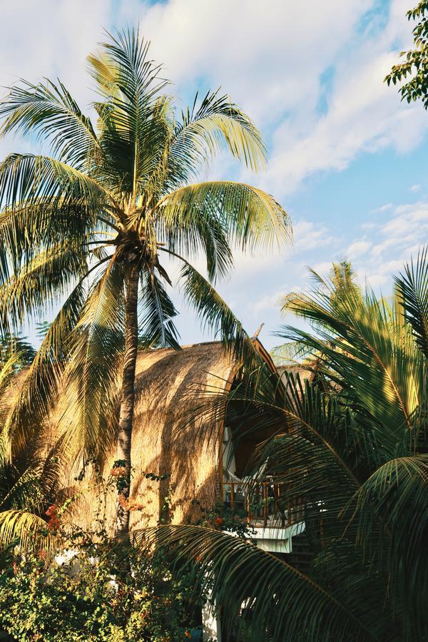 My Gili Paradise กีลีตราวางัน ภายนอก รูปภาพ